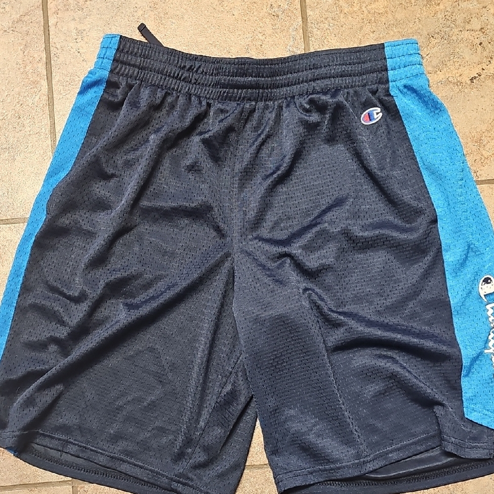 Champion Navy and Blue Athletic Shorts